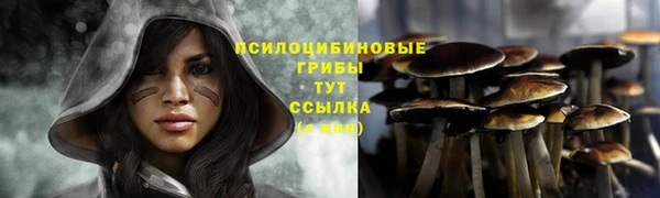 ПСИЛОЦИБИНОВЫЕ ГРИБЫ Абдулино