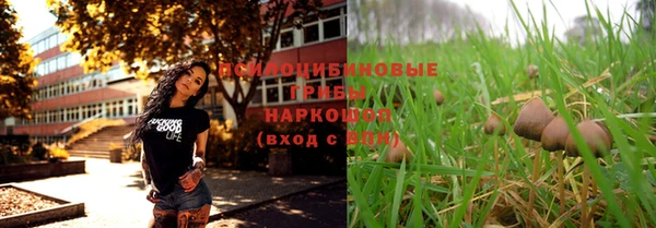 дурь Абинск